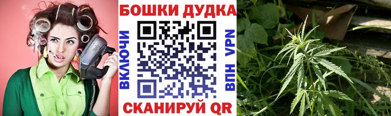 Марихуана сатива  Купить где  Ливны 